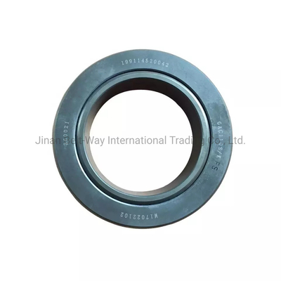 Sinotruk HOWO Shacman Balance Shaft Thrust Bearing 199114520042 para caminhões/motores navais
