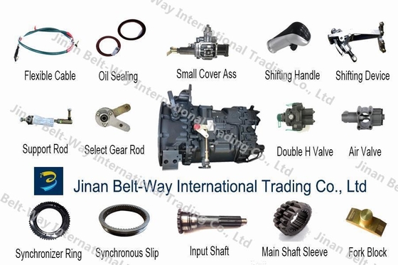 Shacman Delong Aolong F3000 Balance Shaft Housing Dz91259520038 para Modelo de motor Wp10/Wp12
