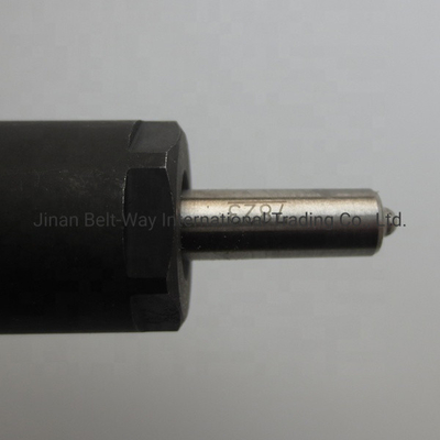 Injetor de combustível certificado CE para parte do motor VG1246080036