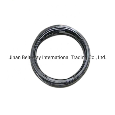 Pagamentos seguros para Weichai WP12 Motor Piston Ring Pushing the Boundaries