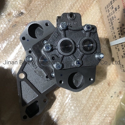 Sinotruk personalizado HOWO Deutz Tractor Oil Pump Az1500070021A Política de reembolso está faltando