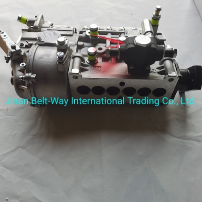 Sinotruk HOWO Truck Parts Fuel Injection Pump Vg1560080021 com apoio ao pagamento em USD