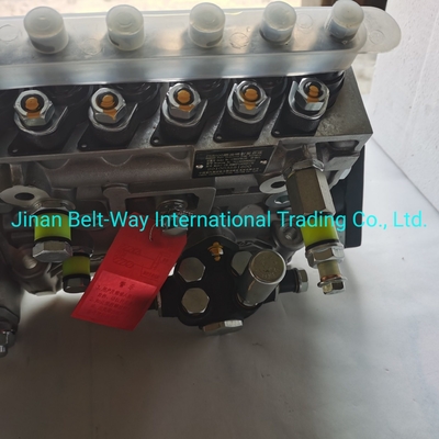Sinotruk HOWO Truck Parts Fuel Injection Pump Vg1560080021 com apoio ao pagamento em USD