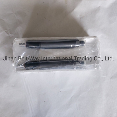 Sinotruk HOWO Truck Parts Injector de combustível Vg1560080276 para sistema de condução do eixo dianteiro