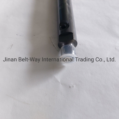 Sinotruk HOWO Truck Parts Injector de combustível Vg1560080276 para sistema de condução do eixo dianteiro