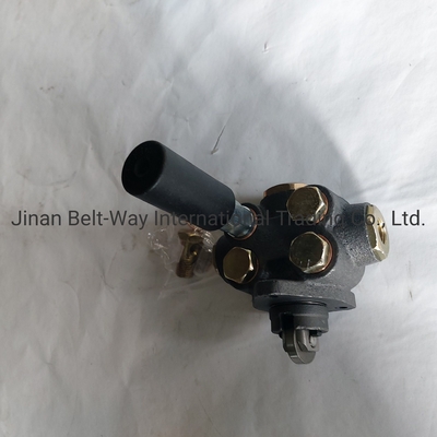 Política de restituição da Sinotruk HOWO Parts Truck Spare Parts Oil Transfer Pump 612600080343