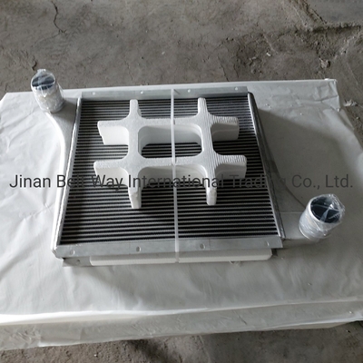 Sinotruk HOWO Peças sobressalentes de camião Intercooler com sobrecarga Wg97255300250 Wg9725530020