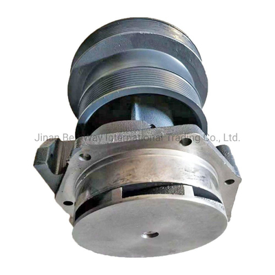 Weichai Power Diesel Engine Pump Water 612600060389 com cada pagamento protegido